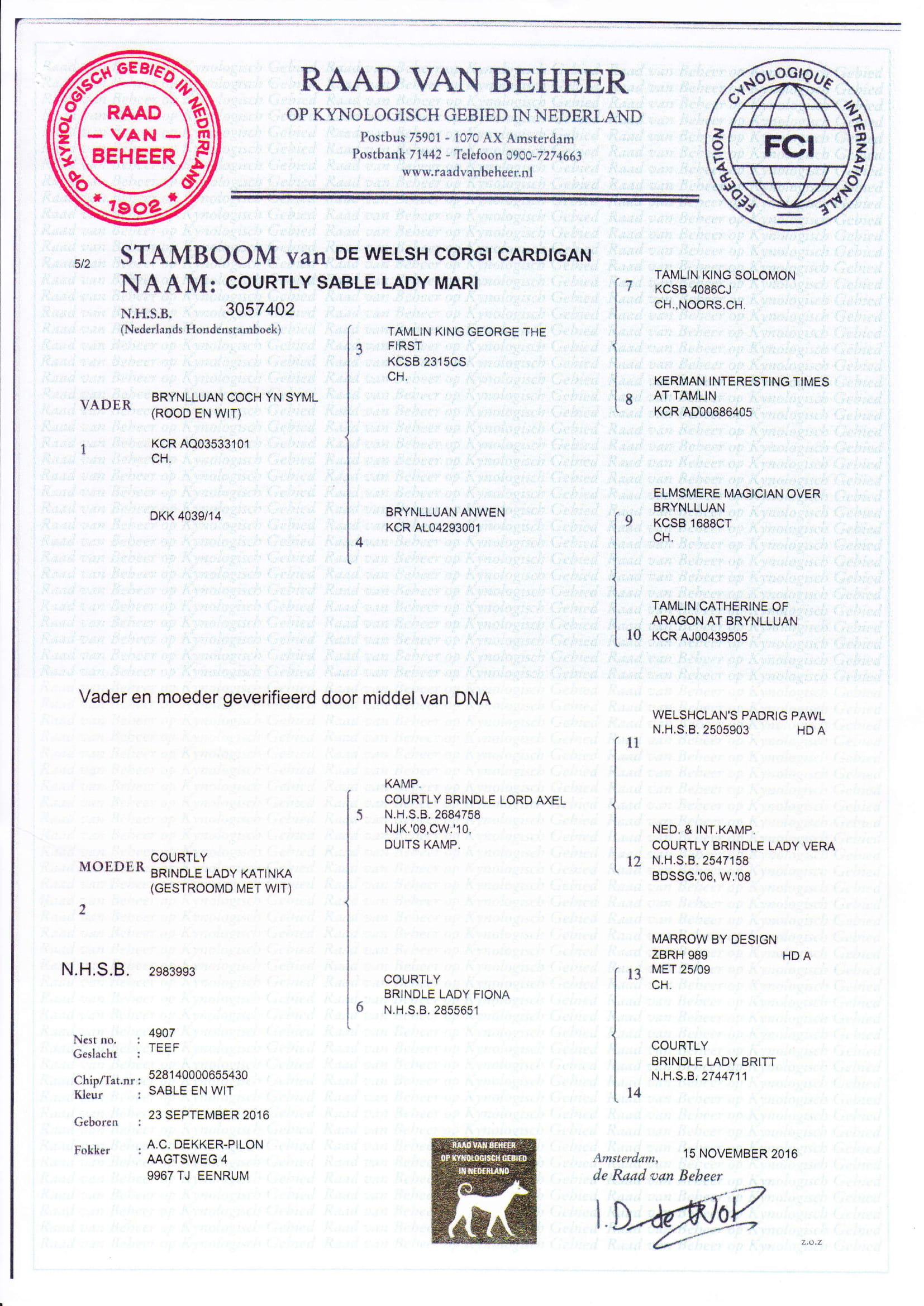 stamboom